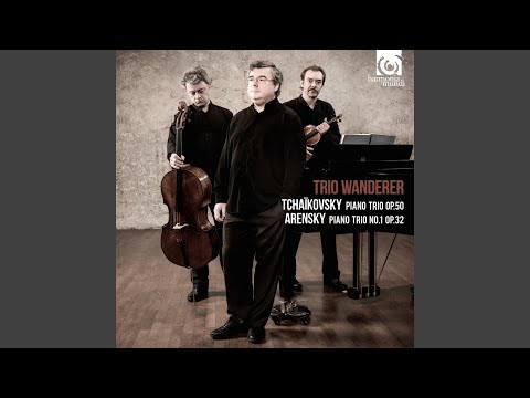 Piano Trio No. 1 in D Minor, Op. 32: I. Allegro moderato