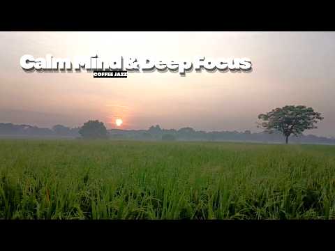 Quiet Sunrise in the Countryside ☕ Smooth Jazz Ambience for Calm Mind & Deep Focus