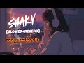 Shaky Song Slowed Reverb Sanju Rathod S
