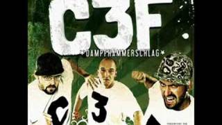 C3F (Hannover Robust) - The Flow must go on