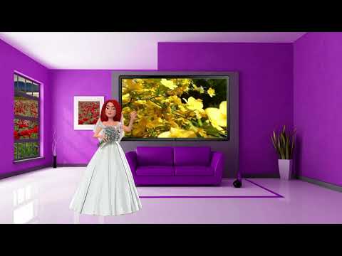 Part 21 The Treaty Of Hudaybiyah