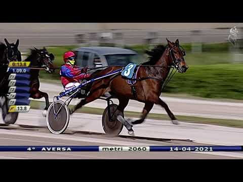 Aversa trotto 14 Aprile 2021 - 4° Corsa