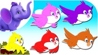 Five Colorful Birds - Nursery Rhyme with Karaoke