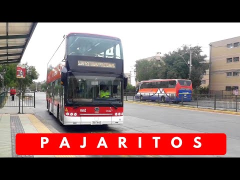 Compilado de Buses Red: Metro Pajaritos.