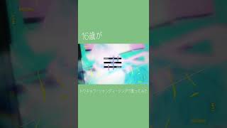 【16歳が】トウキョウ・シャンディ・ランデヴ/歌ってみた-cover-