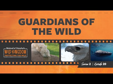 Guardians of the Wild