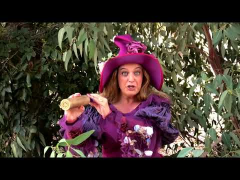 יורם החכם ואוצר האותיות – האותיות א' + ב'