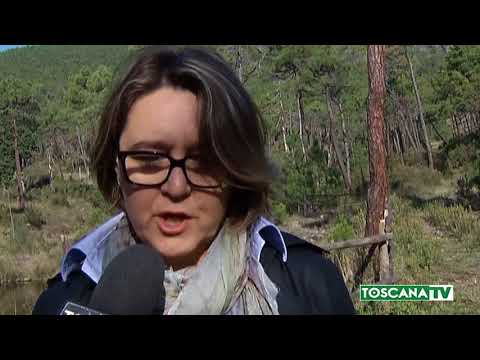 2018-05-14 PRATO - LITE TRA VERTICI CSN, ASSOLTA EX PRESIDENTE BICCHI