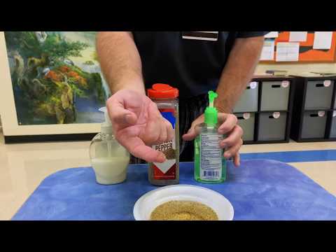 Germs Experiment Using Pepper and Soap