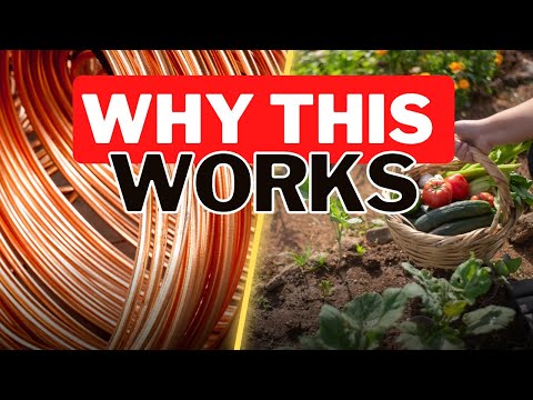 Electro Culture Food Production. Why Electricity Helps Plants Grow.