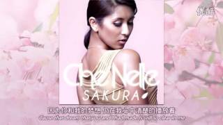 【Che Nelle香奈儿】Sakura樱花 中英字幕