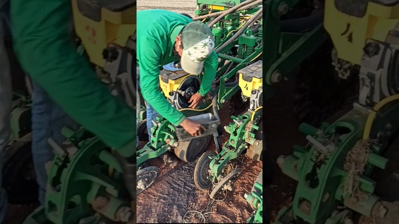 Plantio de milheto 02 - limpeza e abastecimento de semente