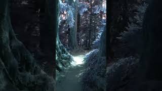 Bee Gees: Voice in the Wilderness #shorts
