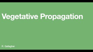 Vegetative Propagation