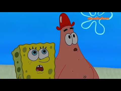 Vídeo: Introdución aos metazoos