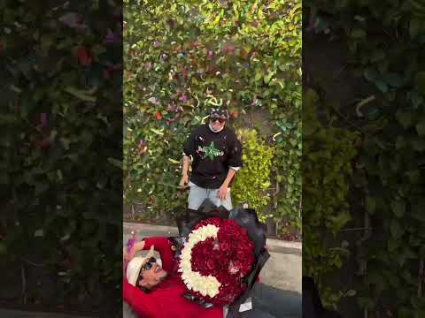 CCC REMIX VIDEO EN UNOS DÍAS #cccremix #panterbelico #maciel #edenmuñoz #megustasmuchoysesabe