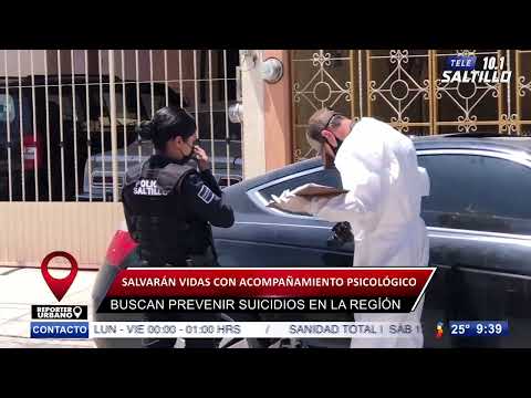 Análisis de la violencia vicaria