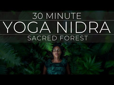 30 Minute Yoga Nidra | Peaceful Sacred Forest