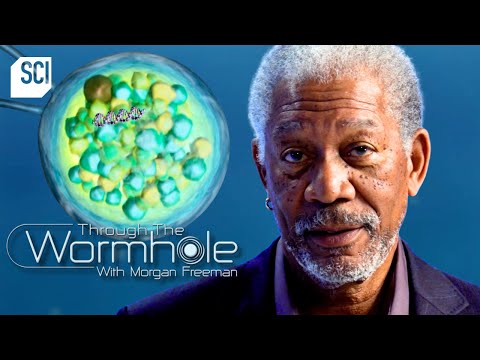What Makes a Human? | Through the Wormhole | Science Channel