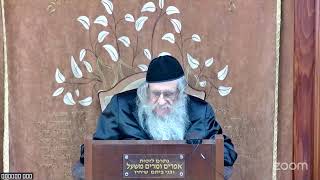 הרה"ג הרב וועכטר שליט"א י"ז ניסן תשפ"ה - מאמר הצמח צדק בשיר השירים (הרב אברהם מנחם מענדל וכטר) - התמונה מוצגת ישירות מתוך אתר האינטרנט יוטיוב. זכויות היוצרים בתמונה שייכות ליוצרה. קישור קרדיט למקור התוכן נמצא בתוך דף הסרטון