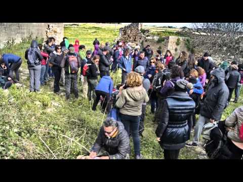 DieNneAvventura TRA ARTE E AGRICOLTURA CERRATE