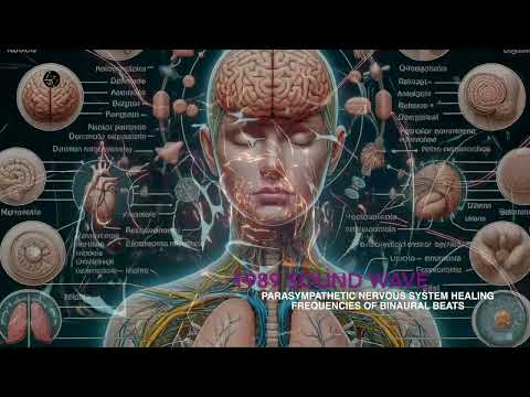 PARASYMPATHETIC NERVOUS SYSTEM HEALING FREQUENCIES OF BINAURAL BEATS