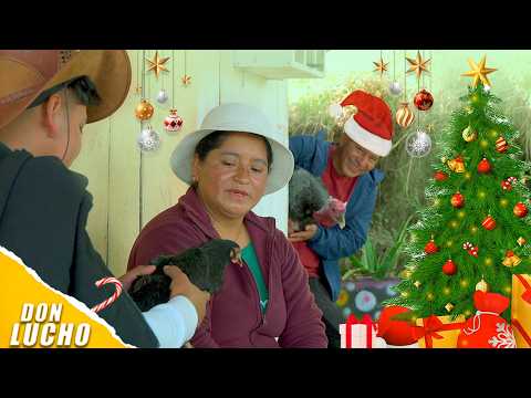 My neighbor gave me a turkey for Christmas and this is what happened