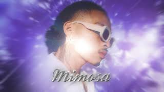 Mimosa Music Video