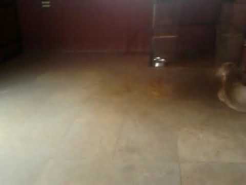 Ganpat kaka Ka ghussa dekho