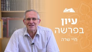 המעלות של רבקה | הרב משה ליכטנשטיין | פרשת חיי שרה תשפ"ו (ישיבת הר עציון) - התמונה מוצגת ישירות מתוך אתר האינטרנט יוטיוב. זכויות היוצרים בתמונה שייכות ליוצרה. קישור קרדיט למקור התוכן נמצא בתוך דף הסרטון