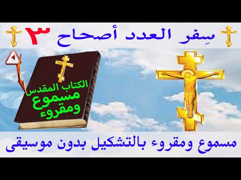 العدد 3