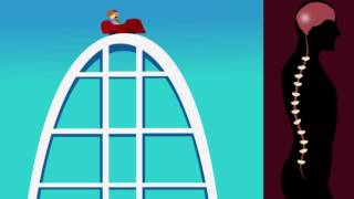 What happens to a human body when riding a rollercoaster. New animatic