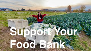 Why Food Banks Need Help Right Now: Volunteering During the Government Shutdown