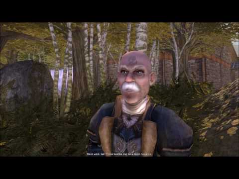 BEST ARMOUR/WEAPONS BEFORE FINISHING GUILD TRAINING - FABLE TLC