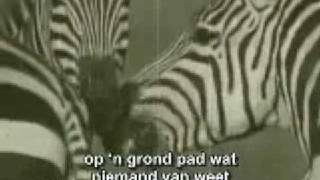 Robbie Wessels - Aan jou van My