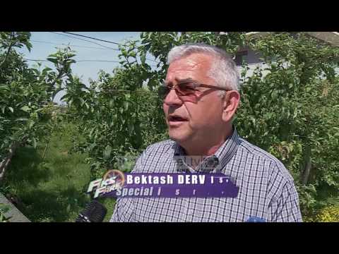 Fiks Fare, 23 Maj 2017, Pjesa 2 - Investigative Satirical Show