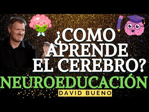 🧠🤓 ¿COMO APRENDE EL CERBERO ? NEUROEDUCACIÓN- NEUROCIENCIA Dr DAVID BUENO - VERSIÓN COMPLETA