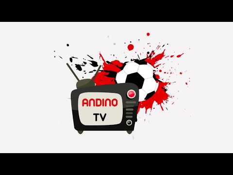 Andino 1 - 0 Defensores de la boca - ( Gol Matias Morales)