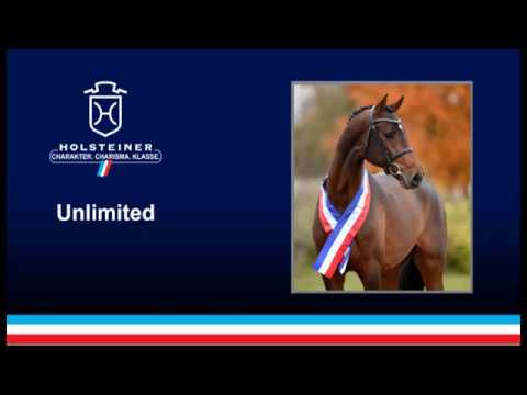 Holsteiner Verbandshengste 2019 - Unlimited