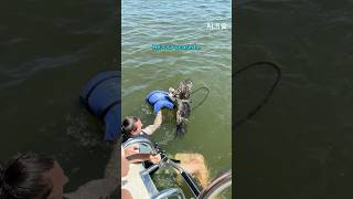 Family Swims Out To Save An Exhausted Osprey 🦅❤️  #AnimalRescue #OspreyRescue #Heartwarming