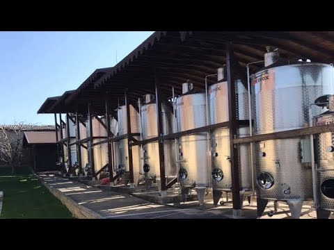 Trecem criza cu Vrajescu si ANAliza - crama TESCU, iasi,