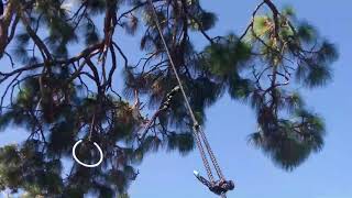 Hanging a (removable) pulley in a tree, no climb method - Meshtastic nodes, Ham radio antennas, etc.