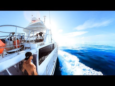 Living From The Ocean For 3 DAYS Hunting For Food With Hand Spear (Part 2) - Ep 170