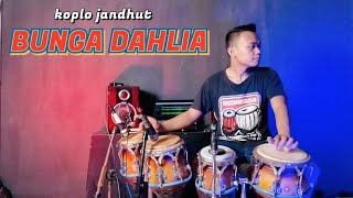 Download lagu BUNGA DAHLIA - KOPLO JANDHUT mp3