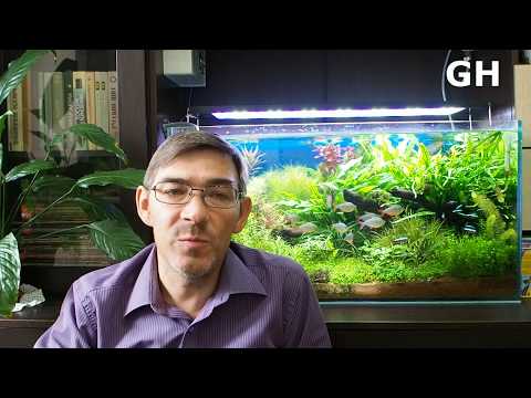 Основные показатели воды в аквариуме и подготовка воды для растительного аквариума