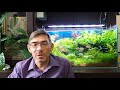 Основные показатели воды в аквариуме и подготовка воды для растительного аквариума
