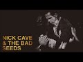 Nick Cave and Bad Seeds  - Thirsty Dog - Lyrics