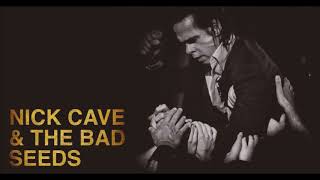 Nick Cave and Bad Seeds  - Thirsty Dog - Lyrics
