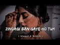 Zindagi Ban Gaye Ho Tum 90 S Lofi Slowed X Reverb Kasoor Udit Narayan Alka Yagnik
