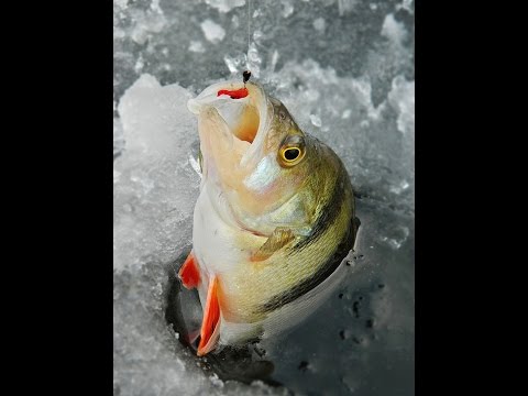 Как сделать зимнюю удочку из маркера своими руками.Зимняя рыбалка 2016
